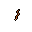 a worm