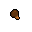 a dark mushroom