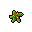 a star herb