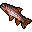a medium fish